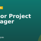 Senior Project Manager