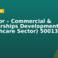 Director – Commercial & Partnerships Development (Healthcare Sector) 50013025