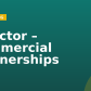 Director – Commercial Partnerships
