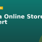 Salla Online Store Expert