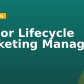 Senior Lifecycle Marketing Manager