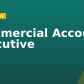 Commercial Account Executive