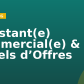 Assistant(e) Commercial(e) & Appels d’Offres