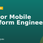 Senior Mobile Platform Engineer