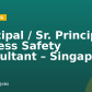 Principal / Sr. Principal Process Safety Consultant – Singapore