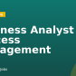 Business Analyst & Process Management