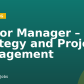 Senior Manager – HR Strategy and Project Management