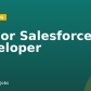 Senior Salesforce Developer