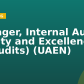 Manager, Internal Audit Quality and Excellence (IT Audits) (UAEN)