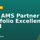 CEG AMS Partner Portfolio Excellence Lead 