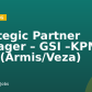 Strategic Partner Manager – GSI –KPMG, DXC (Armis/Veza)