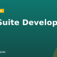 NetSuite Developer
