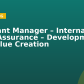 Assistant Manager – Internal Audit Assurance – Development and Value Creation