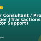 Senior Consultant / Project Manager (Transactions & Investor Support)