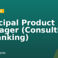 Principal Product Manager (Consulting & Banking)