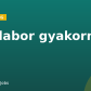 HW labor gyakornok