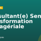 Consultant(e) Senior Transformation Managériale