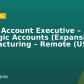 Senior Account Executive – Strategic Accounts (Expansion), Manufacturing – Remote (US)