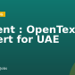 Urgent : OpenText Expert for UAE