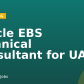 Oracle EBS Technical Consultant for UAE