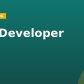 GIS Developer