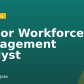 Senior Workforce Management Analyst