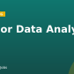 Senior Data Analyst
