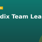 Mendix Team Lead