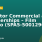 Director Commercial and Partnerships – Film Studio (SPA5-50012960)