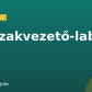 Műszakvezető-laboráns