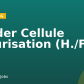 Leader Cellule sécurisation (H./F.)