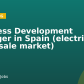 Business Development Manager in Spain (electricity wholesale market)