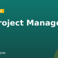 IT Project Manager