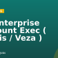 Sr Enterprise Account Exec ( Armis / Veza )
