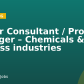 Senior Consultant / Project Manager – Chemicals & Process industries