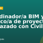 Coordinador/a BIM y técnico/a de proyectos de trazado con Civil