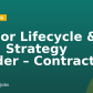 Senior Lifecycle & CRM Strategy Leader – Contract