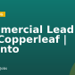Commercial Lead | IFS Copperleaf | Toronto
