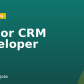 Senior CRM Developer