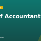 Chief Accountant
