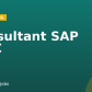 Consultant SAP DMC