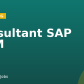 Consultant SAP EWM
