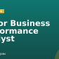 Junior Business Performance Analyst