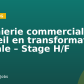 Ingénierie commerciale & Conseil en transformation digitale – Stage H/F