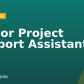 Senior Project Support Assistant