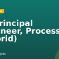 Sr Principal Engineer, Process (hybrid)