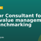 Senior Consultant for cost/value management or benchmarking