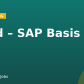 Lead – SAP Basis