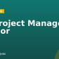 AI Project Manager, Senior