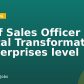 Chief Sales Officer ( Digital Transformation ) Enterprises level
